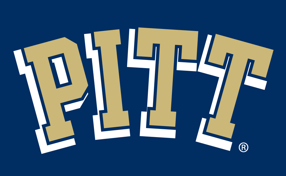 Pittsburgh Panthers 1997-2015 Wordmark Logo diy DTF decal sticker